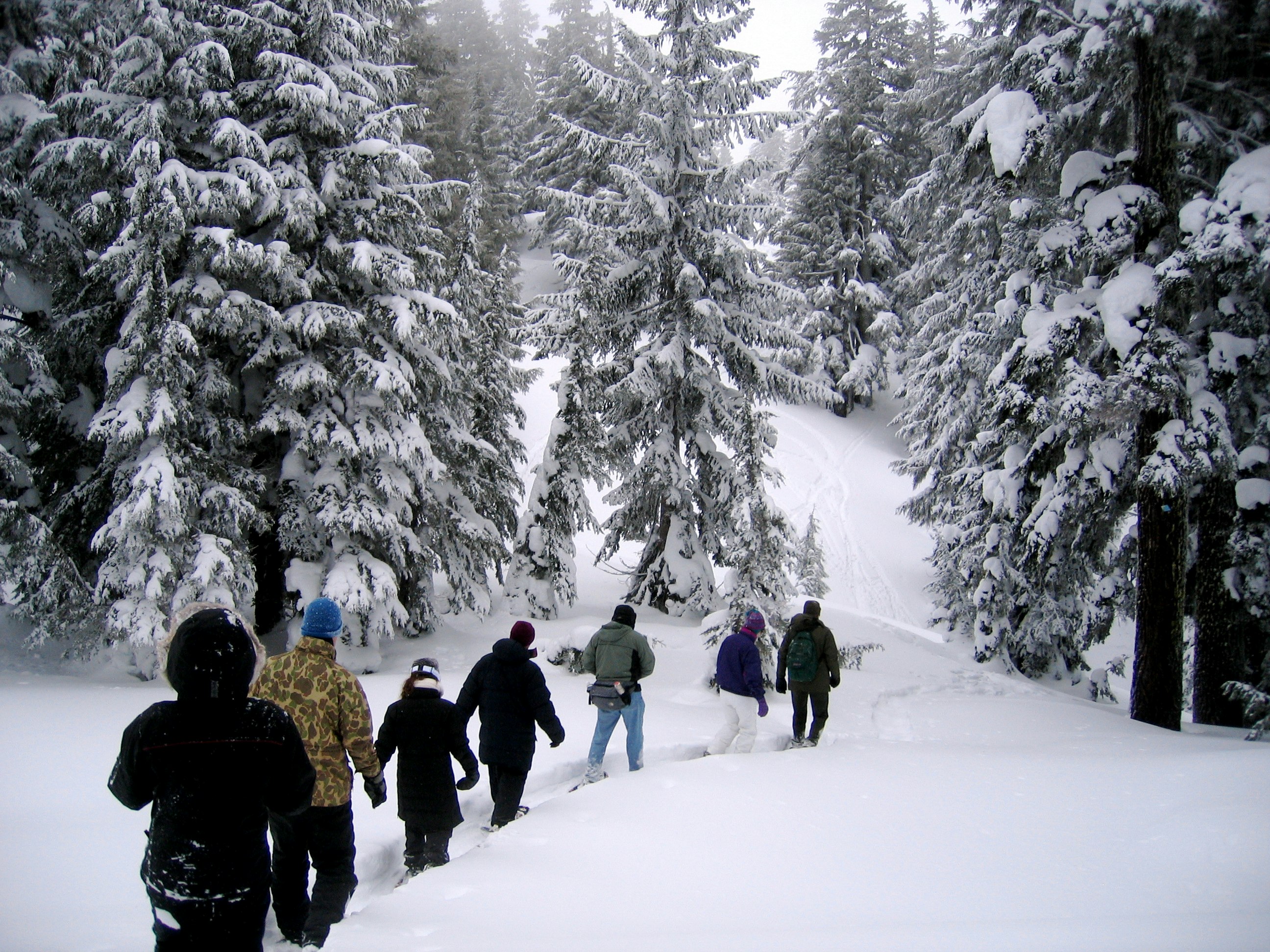Take free snowshoe tours at Crater Lake National Park for the 2020 season Lonely